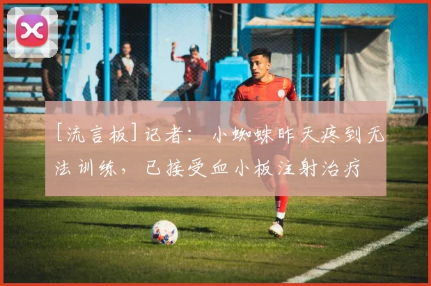 [流言板]记者：小蜘蛛昨天疼到无法训练，已接受血小板注射治疗