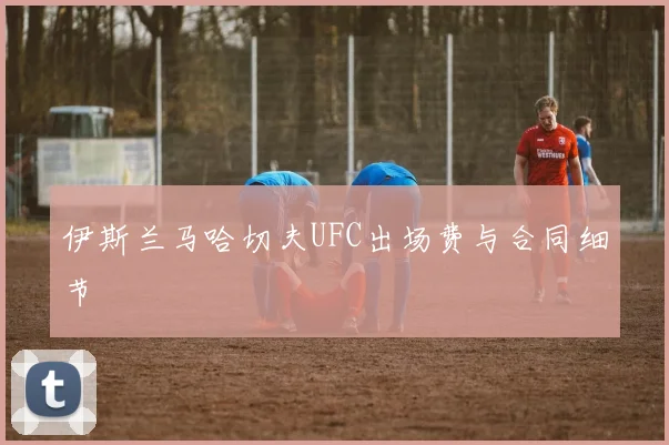 伊斯兰马哈切夫UFC出场费与合同细节