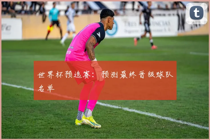 世界杯预选赛：预测最终晋级球队名单