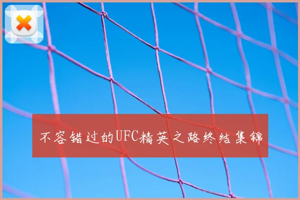 不容错过的UFC精英之路终结集锦