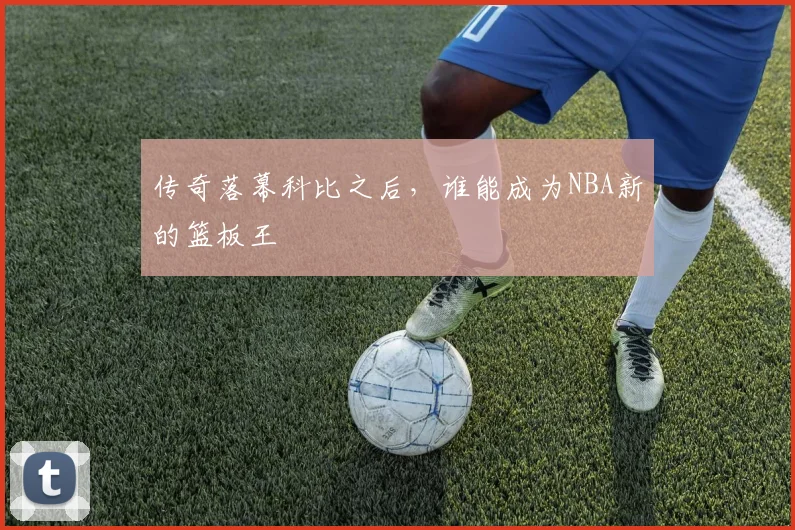 传奇落幕科比之后，谁能成为NBA新的篮板王