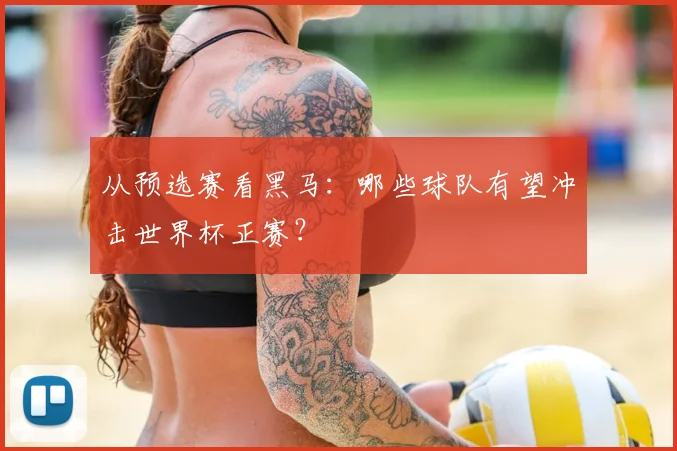从预选赛看黑马：哪些球队有望冲击世界杯正赛？