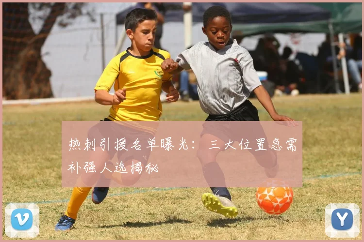 热刺引援名单曝光：三大位置急需补强人选揭秘